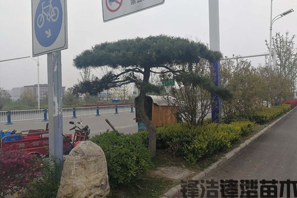 案例展示一(图1)