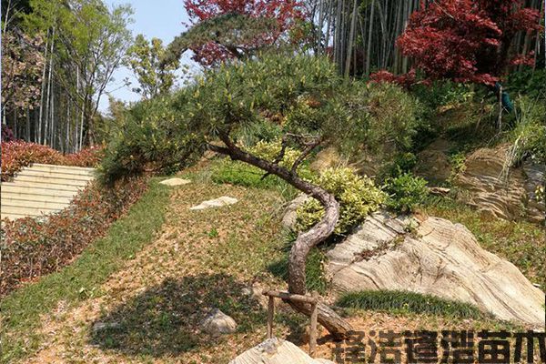 案例展示二(图1)